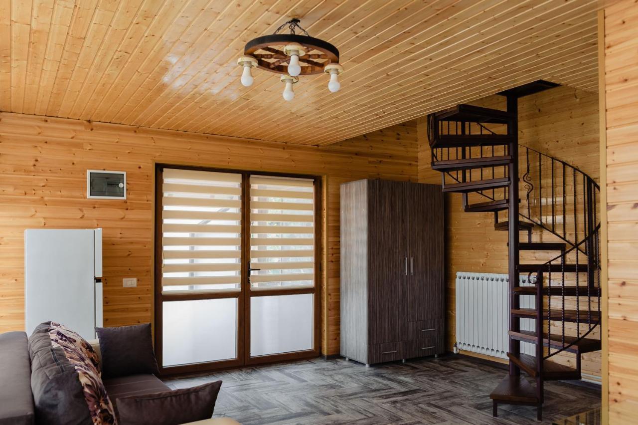 Apartment La Maria Si Ioana Curtea De Arges