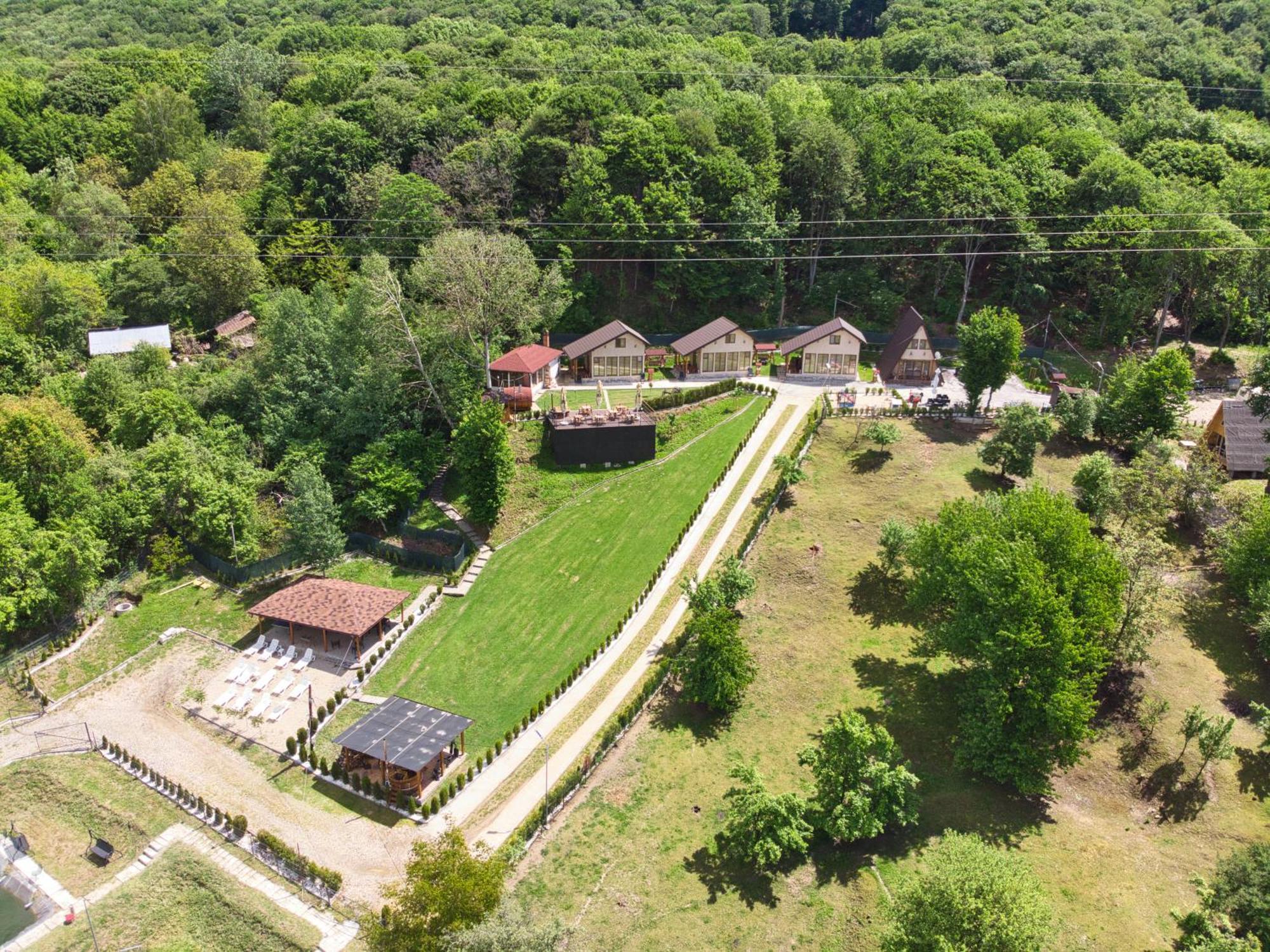 La Maria Si Ioana Apartment Curtea de Argeş